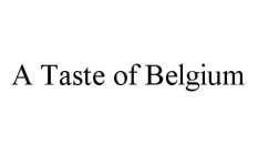A TASTE OF BELGIUM