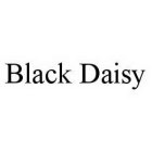 BLACK DAISY