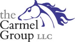 THE CARMEL GROUP LLC