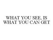 WHAT YOU SEE, IS WHAT YOU CAN GET