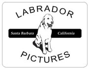 LABRADOR PICTURES SANTA BARBARA CALIFORNIA