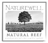 NATUREWELL NATURAL BEEF MINIMALLY PROCESSED AND CONTAINS NO ARTIFICIAL INGREDIENTS