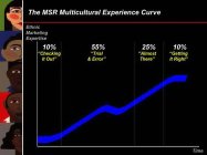 THE MSR MULTICULTURAL EXPERIENCE CURVE ETHNIC MARKETING EXPERTISE 10% 