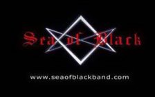SEA OF BLACK WWW.SEAOFBLACKBAND.COM