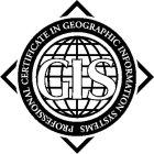 GIS PROFESSIONAL CERTIFICATE IN GEOGRAPHIC INFORMATION SYSTEMS