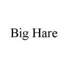 BIG HARE