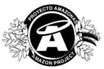 PROYECTO AMAZONAS AMAZON PROJECT A