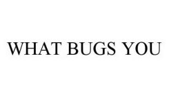 WHAT BUGS YOU