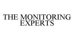 THE MONITORING EXPERTS