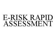 E-RISK RAPID ASSESSMENT