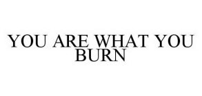 YOU ARE WHAT YOU BURN