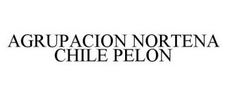 AGRUPACION NORTENA CHILE PELON