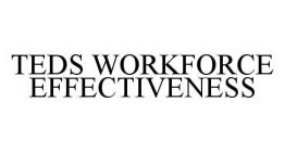 TEDS WORKFORCE EFFECTIVENESS