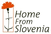 HOME FROM SLOVENIA