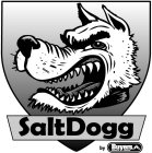 SALT DOGG BY BUYERS PRODUCTS COMPANY BPC