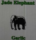 JADE ELEPHANT GARLIC