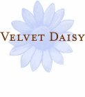 VELVET DAISY