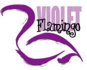 VIOLET FLAMINGO