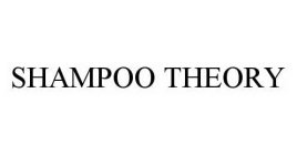 SHAMPOO THEORY