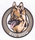 BIG DOG SURVEILLANCE SYSTEMS