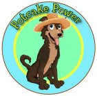 POTCAKE POWER