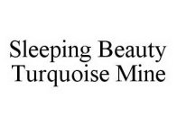 SLEEPING BEAUTY TURQUOISE MINE