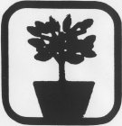 Image Trademark