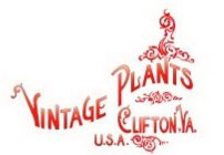 VINTAGE PLANTS CLIFTON, VA. U.S.A.