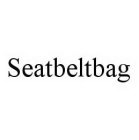 SEATBELTBAG