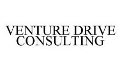 VENTURE DRIVE CONSULTING