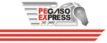 PEGASO EXPRESS