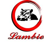 LAMBIE