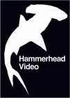 HAMMERHEAD VIDEO