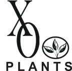 XO PLANTS