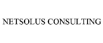 NETSOLUS CONSULTING
