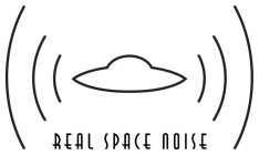 REAL SPACE NOISE