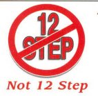 12 STEP NOT 12 STEP