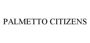 PALMETTO CITIZENS