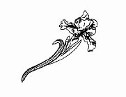 Image Trademark