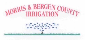 MORRIS & BERGEN COUNTY IRRIGATION