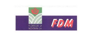 FDM FLORES DE LA MONTAÑA S.A.
