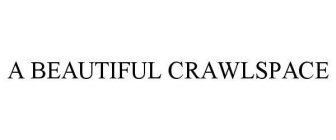 A BEAUTIFUL CRAWLSPACE