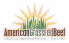 AMERICANGRASSFEDBEEF