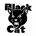 BLACK CAT