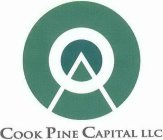 COOK PINE CAPITAL LLC