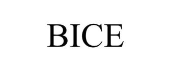 BICE