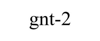 GNT-2
