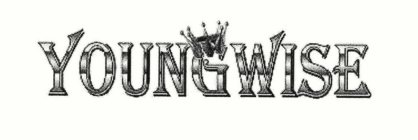 YOUNGWISE