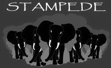 STAMPEDE