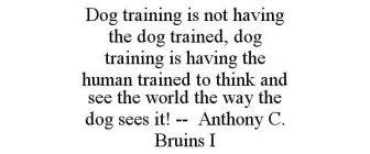 DOG TRAINING IS NOT HAVING THE DOG TRAINED, DOG TRAINING IS HAVING THE HUMAN TRAINED TO THINK AND SEE THE WORLD THE WAY THE DOG SEES IT! -- ANTHONY C. BRUINS I